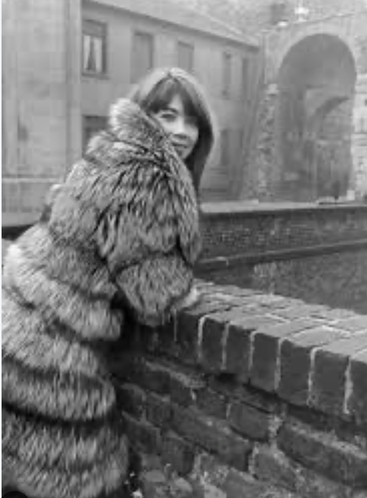Fur
